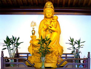 有求必应观音灵签：观音灵签，千年祈愿的智慧与力量