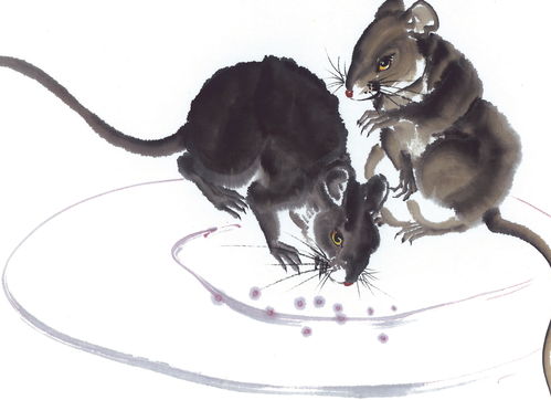 属马和属鼠人姻缘:生肖配对,属马与属鼠的爱情与婚姻指南