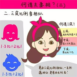 夫妻相测试:夫妻相测试,科学还是玄学?揭秘夫妻外貌相似性的三大真相 夫妻相测试:夫妻相测试,科学还是玄学?揭秘夫妻外貌相似性的三大真相