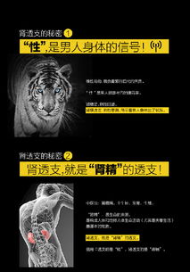 肾宝片的功能与主治是什么：肾宝片的功能与主治是什么？