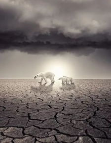 梦见山体垮塌:梦中的山体崩塌,一场潜意识的预警与宣泄