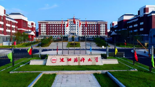 沈阳药科大学（沈阳药科大学录取分数线）