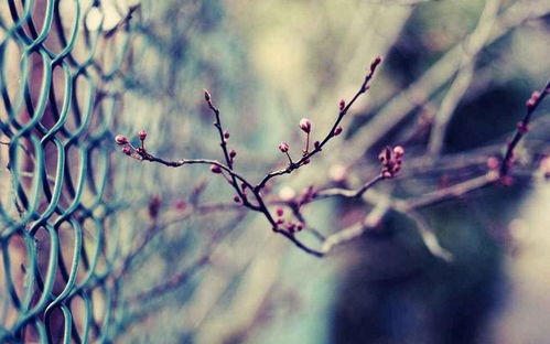 10月26日是什么日子：10月26日，被遗忘的纪念日与不为人知的重要时刻