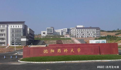 沈阳药科大学（沈阳药科大学排名）