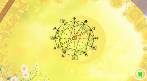 属猪和属牛的姻缘好吗：属猪和属牛的姻缘，命运的默契还是现实的磨合？