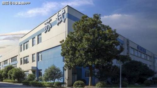 瓷都取名网免费取名公司测名：瓷都取名网，免费公司测名服务助力企业品牌崛起