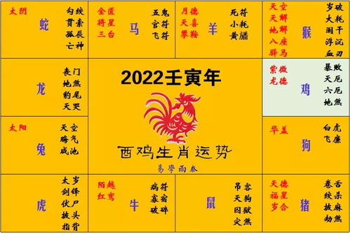 2022年十二生肖每月运程大全：2022年十二生肖每月运势精准解析，运势起伏全指南（附避坑建议）