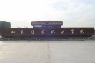 襄阳职院2025年即将升本（襄阳职业技术学院专升本可以报考哪些大学）