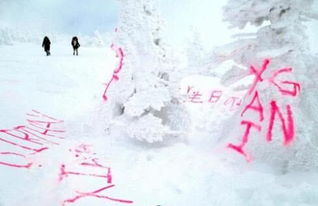 11月17日是什么日子?11月17日,被遗忘的纪念日与不为人知的历史瞬间 11月17日是什么日子?11月17日,被遗忘的纪念日与不为人知的历史瞬间