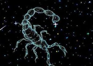 天蝎座最佳配对星座：天蝎座最佳配对星座，灵魂共鸣与互补型关系的完美公式