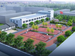 齐娜的塔罗牌在哪买的:齐娜的塔罗牌在哪买的?一场寻牌之旅的启示