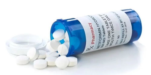 增强免疫力的药:科学增强免疫力,认识与使用增强免疫力的药物