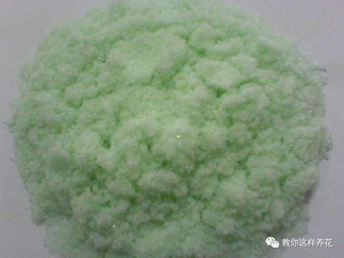硫酸亚铁是什么肥料:硫酸亚铁,一种重要的肥料与植物营养补充剂