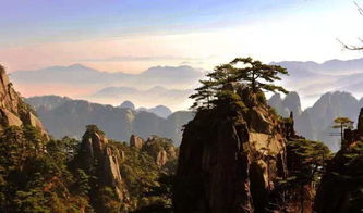 黄山鳌鱼峰的姻缘路：情定鳌鱼峰，黄山云巅的姻缘传说与现实
