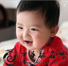 兔年男孩子取名字大全：2023兔年男宝宝起名指南，吉祥寓意与时尚搭配全攻略