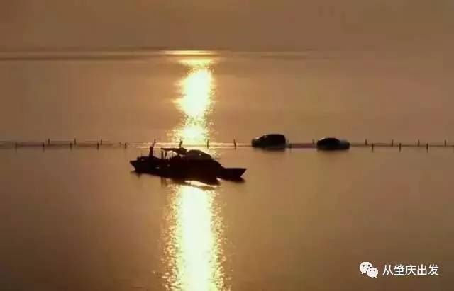 梦见自己排出一堆大便：从梦境到现实，一便筐的隐喻与自我疗愈之路