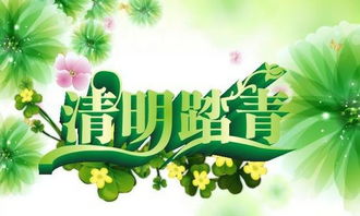 4月8日是什么日子?4月8日，国际医疗日与清明时节话传承—一个多维度的重要日子