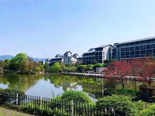 重庆理工大学(重庆理工大学官网)