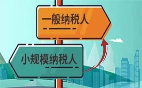 蒲地蓝三种人不能吃:蒲地蓝不能吃?这三类人群要当心! 蒲地蓝三种人不能吃:蒲地蓝不能吃?这三类人群要当心!