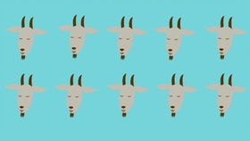 91年属羊的属相婚配表:91年属羊人婚配指南,科学解析十二生肖最佳伴侣与避坑建议