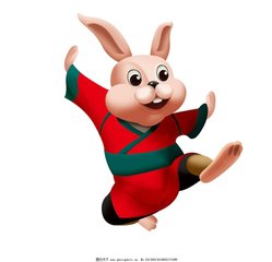 1972年属什么生肖属相：1972年出生属兔，生肖文化与个人运势全解析