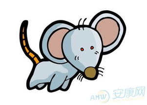 1972年属什么生肖属相:1972年出生属兔,生肖文化与个人运势全解析 1972年属什么生肖属相:1972年出生属兔,生肖文化与个人运势全解析