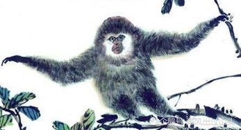 92年属猴的是什么命:92年属猴人命运解析,性格特质与人生机遇全揭秘