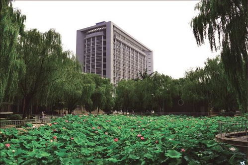 邢台职业技术学院是本科还是专科(邢台职业技术学院几本)