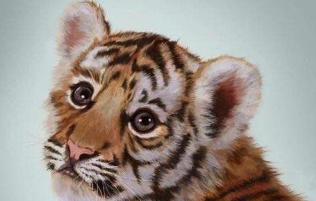 2022虎宝宝最火乳名：虎虎生威！2022虎宝宝最火乳名TOP10+起名指南，萌娃名字这样起更招人爱！