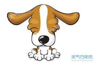 2018年是什么命：2018年是什么命，生肖狗的运势与五行格局全解析