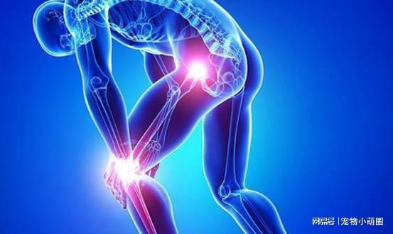 什么地方痛才叫痛风：痛风到底长什么样？揭秘痛风的疼痛发生地