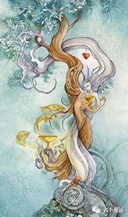 塔罗牌选牌注意事项图解：塔罗牌选牌注意事项图解，从新手到进阶的实用指南