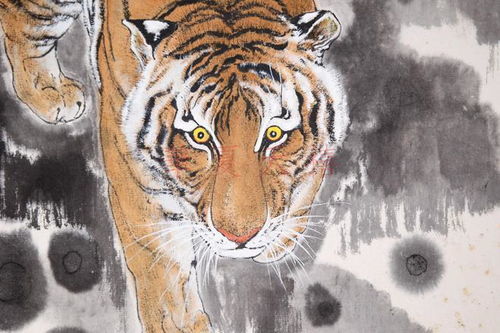 86年虎女38岁2024运势：1986虎女38岁2024运势解析，虎虎生威，逆风翻盘的黄金年份