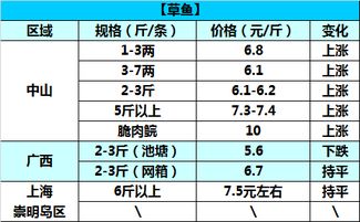 美白手术大概多少钱：美白手术价格参考，了解费用构成与注意事项