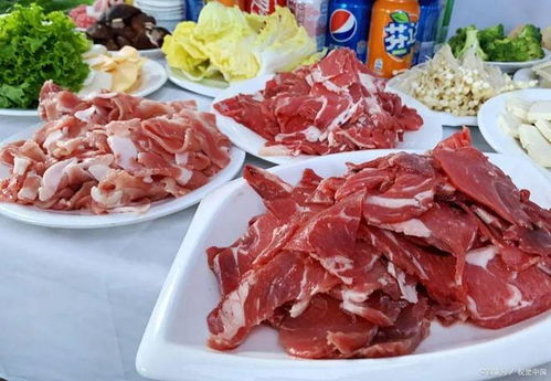 孕妇能不能吃羊肉:孕妇能不能吃羊肉?营养与安全双重视角解析 孕妇能不能吃羊肉:孕妇能不能吃羊肉?营养与安全双重视角解析