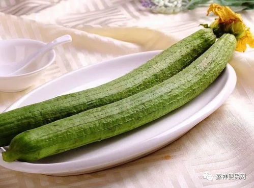 三种人不宜吃丝瓜:三种人不宜吃丝瓜,否则可能危害健康 三种人不宜吃丝瓜:三种人不宜吃丝瓜,否则可能危害健康