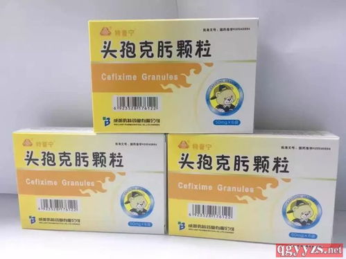 分药盒图片大全早中晚：早中晚分药盒图片大全，科学管理全天用药，告别遗忘！