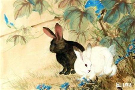 2022年属兔人两喜缠身：2022年属兔人福星高照，事业运与贵人运双喜临门，把握机遇迎春来