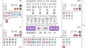 紫微斗数实战100例:紫微斗数实战100例,从星曜排盘到命理解析的完整指南 紫微斗数实战100例:紫微斗数实战100例,从星曜排盘到命理解析的完整指南