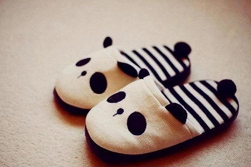 女人梦见鞋丢了在找鞋：女人梦见鞋丢了，在找鞋，梦境背后的隐喻与启示