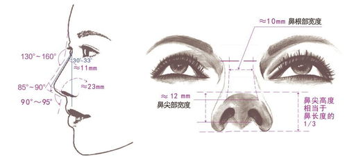 小富看鼻大富看眼：相由心生，鼻藏小富，眼蕴大富，从面相学看财富的层次密码