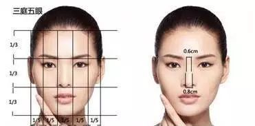 小富看鼻大富看眼:相由心生,鼻藏小富,眼蕴大富,从面相学看财富的层次密码 小富看鼻大富看眼:相由心生,鼻藏小富,眼蕴大富,从面相学看财富的层次密码