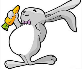 为何属兔的不怕本命年:玉兔护身,解码生肖兔为何独享本命年豁免权的千年玄机 为何属兔的不怕本命年:玉兔护身,解码生肖兔为何独享本命年豁免权的千年玄机