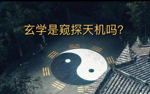 运气差怎么样转运:转运不是玄学,科学调整心态+行动指南助你突破霉运循环 运气差怎么样转运:转运不是玄学,科学调整心态+行动指南助你突破霉运循环