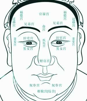 看相算命真的很准确:看相算命真的能预测未来吗?科学视角下的玄学密码 看相算命真的很准确:看相算命真的能预测未来吗?科学视角下的玄学密码