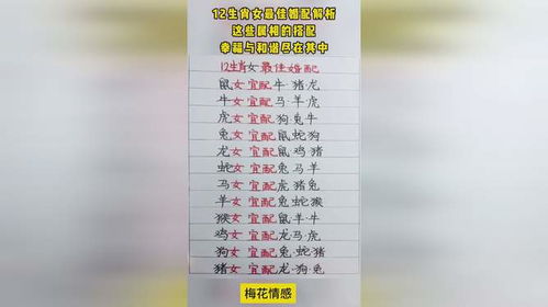 十二生肖婚配表男女最佳婚配大全:十二生肖婚配表男女最佳婚配大全,科学配对与传统文化结合指南 十二生肖婚配表男女最佳婚配大全:十二生肖婚配表男女最佳婚配大全,科学配对与传统文化结合指南