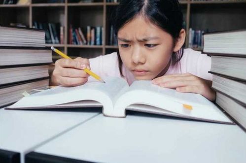 孩子厌学带他去三个地方：三个地方让孩子重燃学习兴趣，告别厌学困境