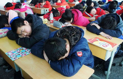 孩子厌学带他去三个地方：三个地方让孩子重燃学习兴趣，告别厌学困境