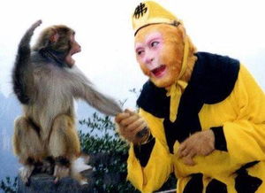 属猴人离不开的两个贵人是谁：属猴人命宫中的两大守护星，谁才是你命中注定的贵人？