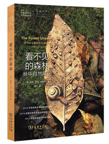 遗失的森林塔罗牌说明书：消失的森林塔罗牌说明书